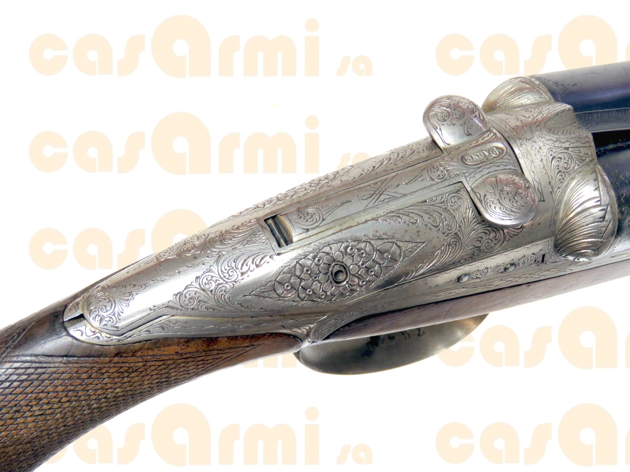 Darne bigrillo 12/70